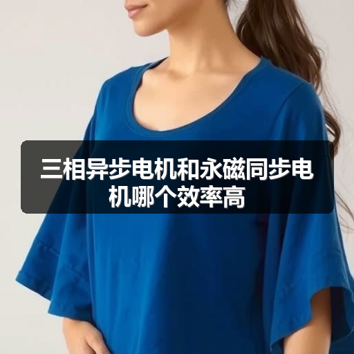 三相异步电机和永磁同步电机哪个效率高 正文配图