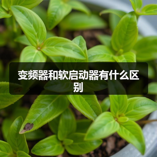 变频器和软启动器有什么区别 正文配图